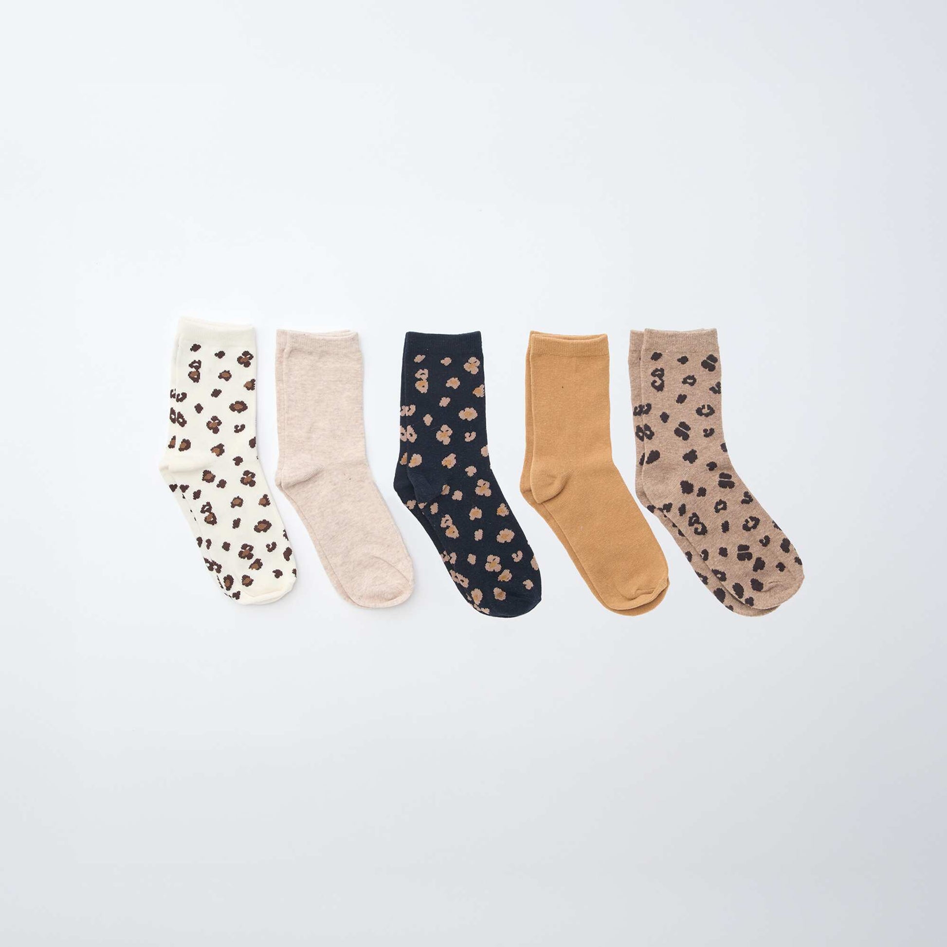 Lot de 5 paires de chaussettes MARRON