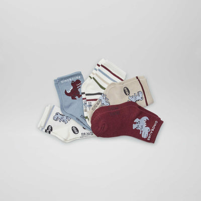 Lot de 5 paires de chaussettes MARRON/BLEU/BEIGE/ROUGE