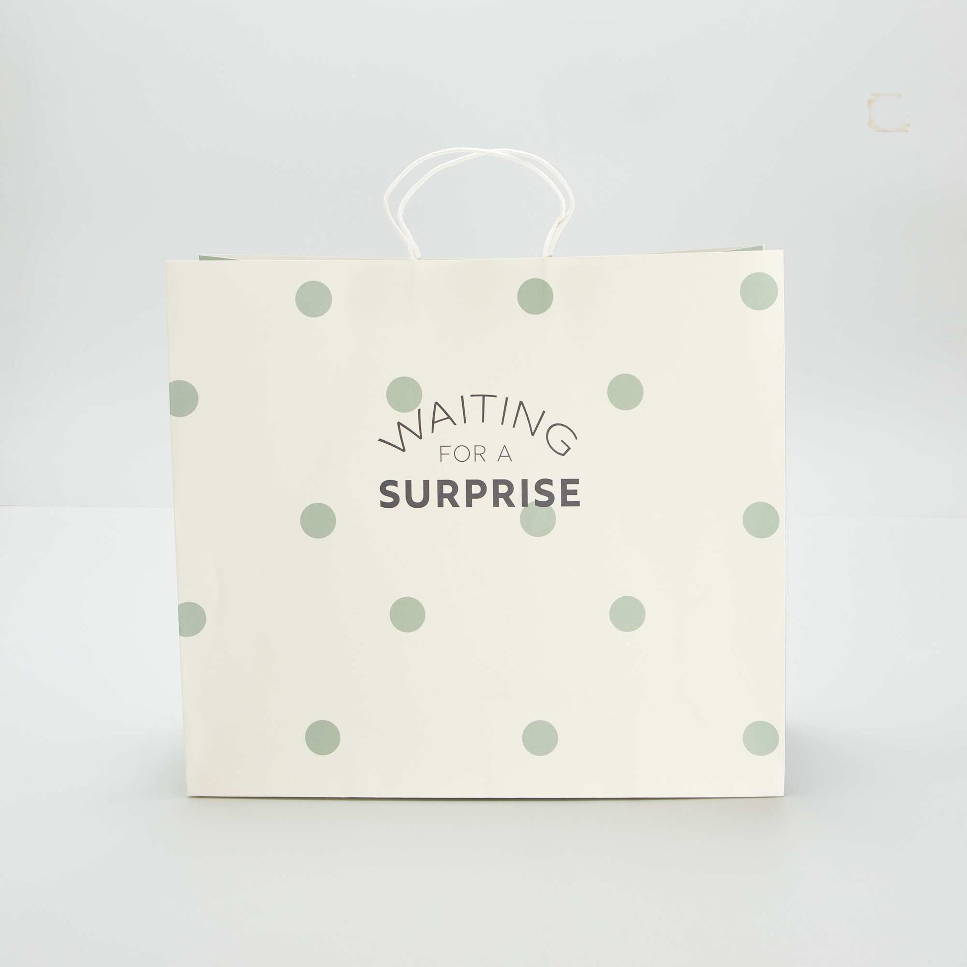 Pochette cadeau VERT