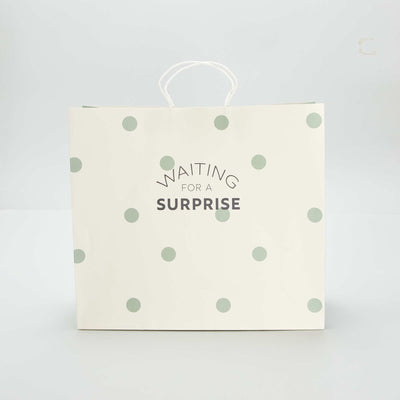 Pochette cadeau VERT