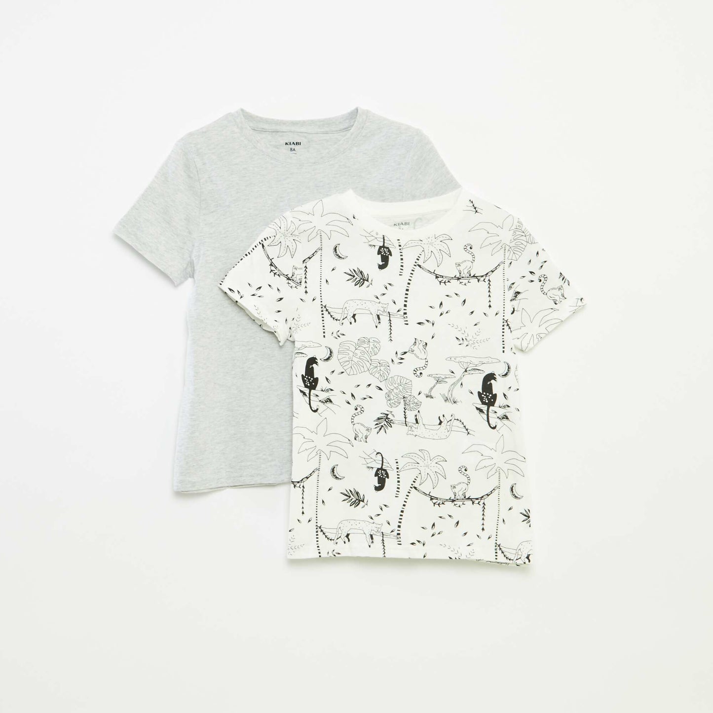 Lot de 2 t-shirts à manches courtes et col rond BLANC
