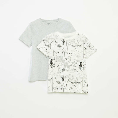 Lot de 2 t-shirts à manches courtes et col rond BLANC