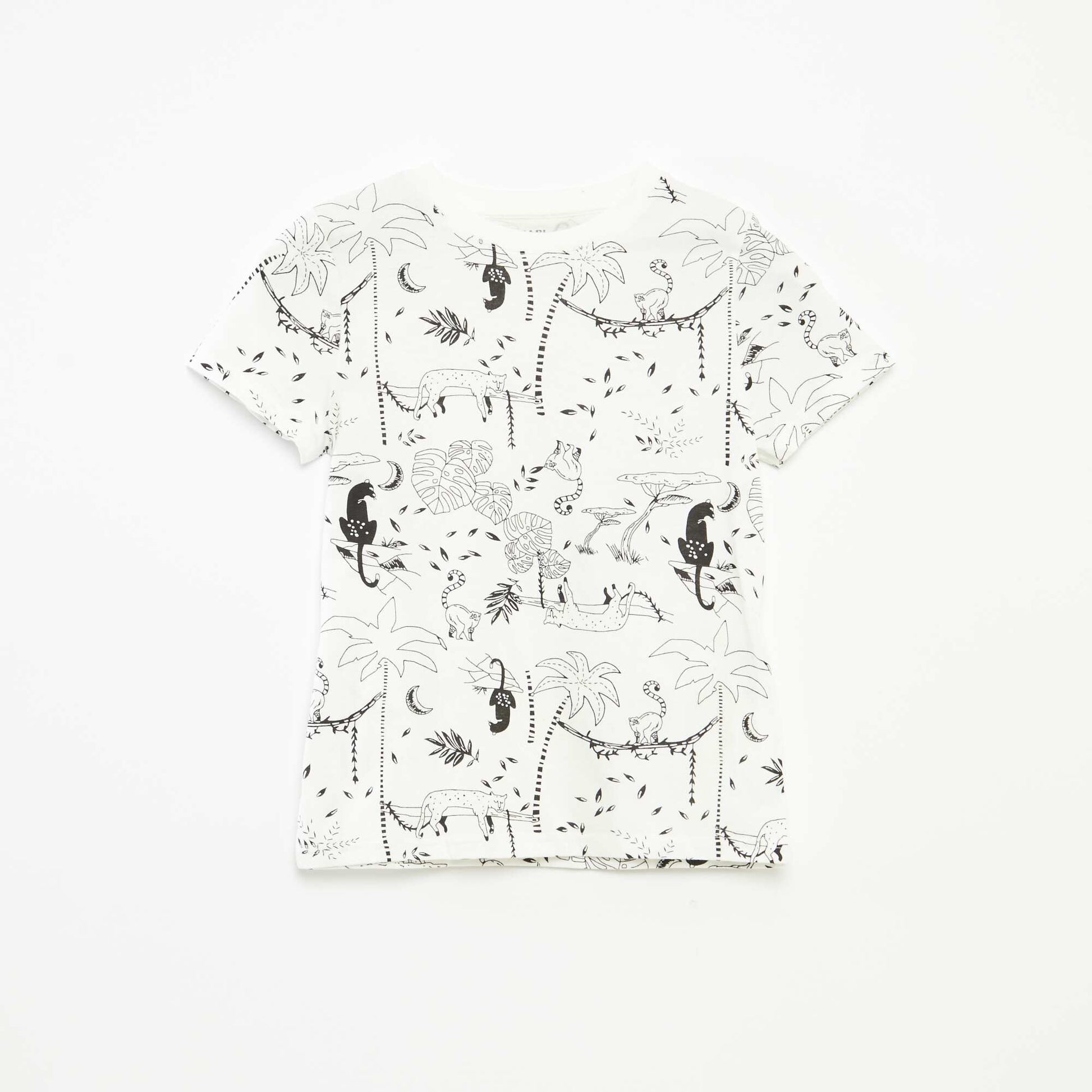 Lot de 2 t-shirts à manches courtes et col rond BLANC