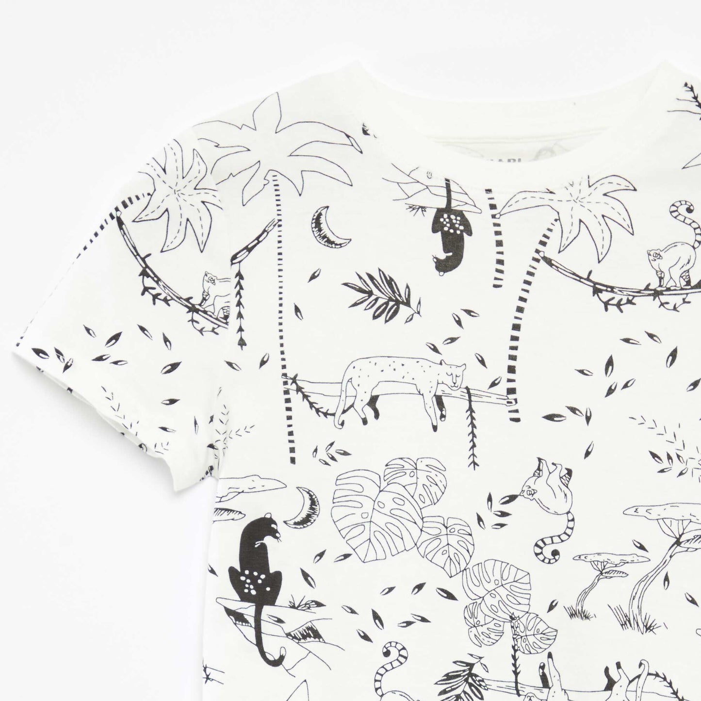 Lot de 2 t-shirts à manches courtes et col rond BLANC