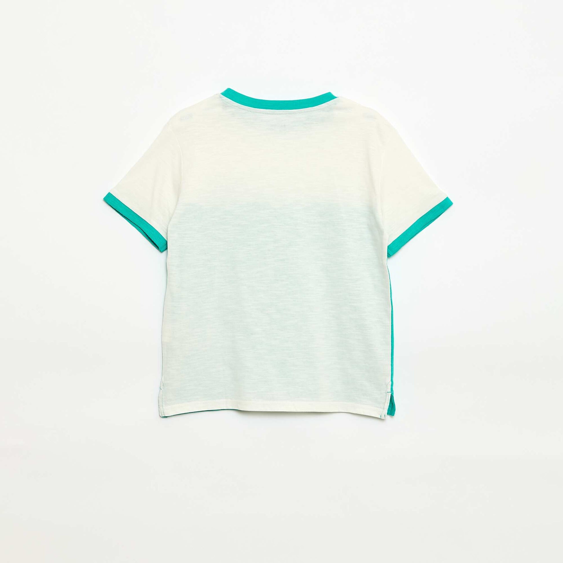 Tee-shirt colorblock VERT