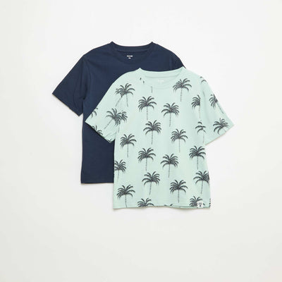 Lot de 2 T-shirts BLEU