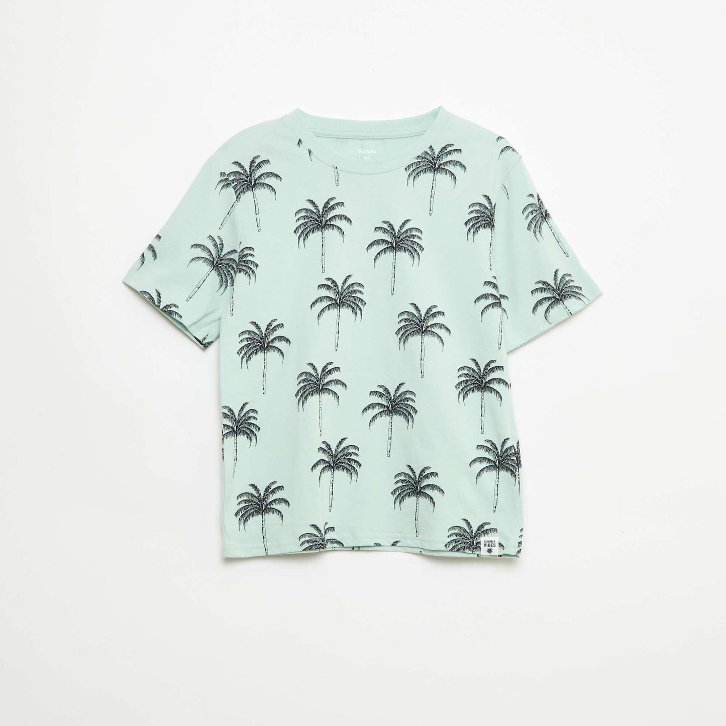 Lot de 2 T-shirts BLEU