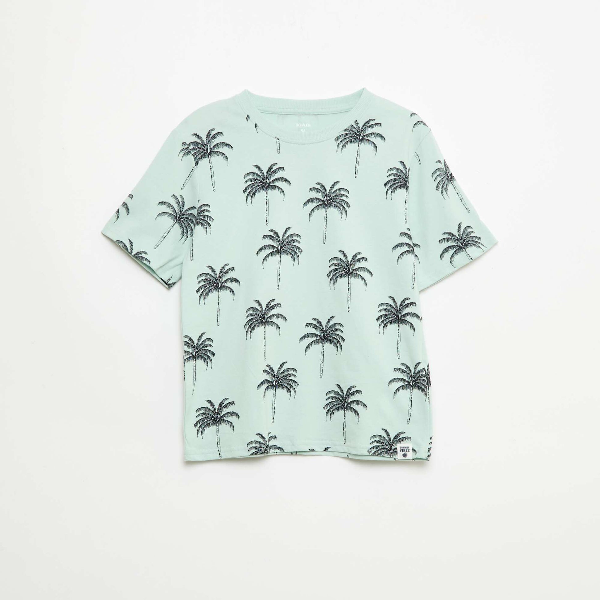 Lot de 2 T-shirts BLEU