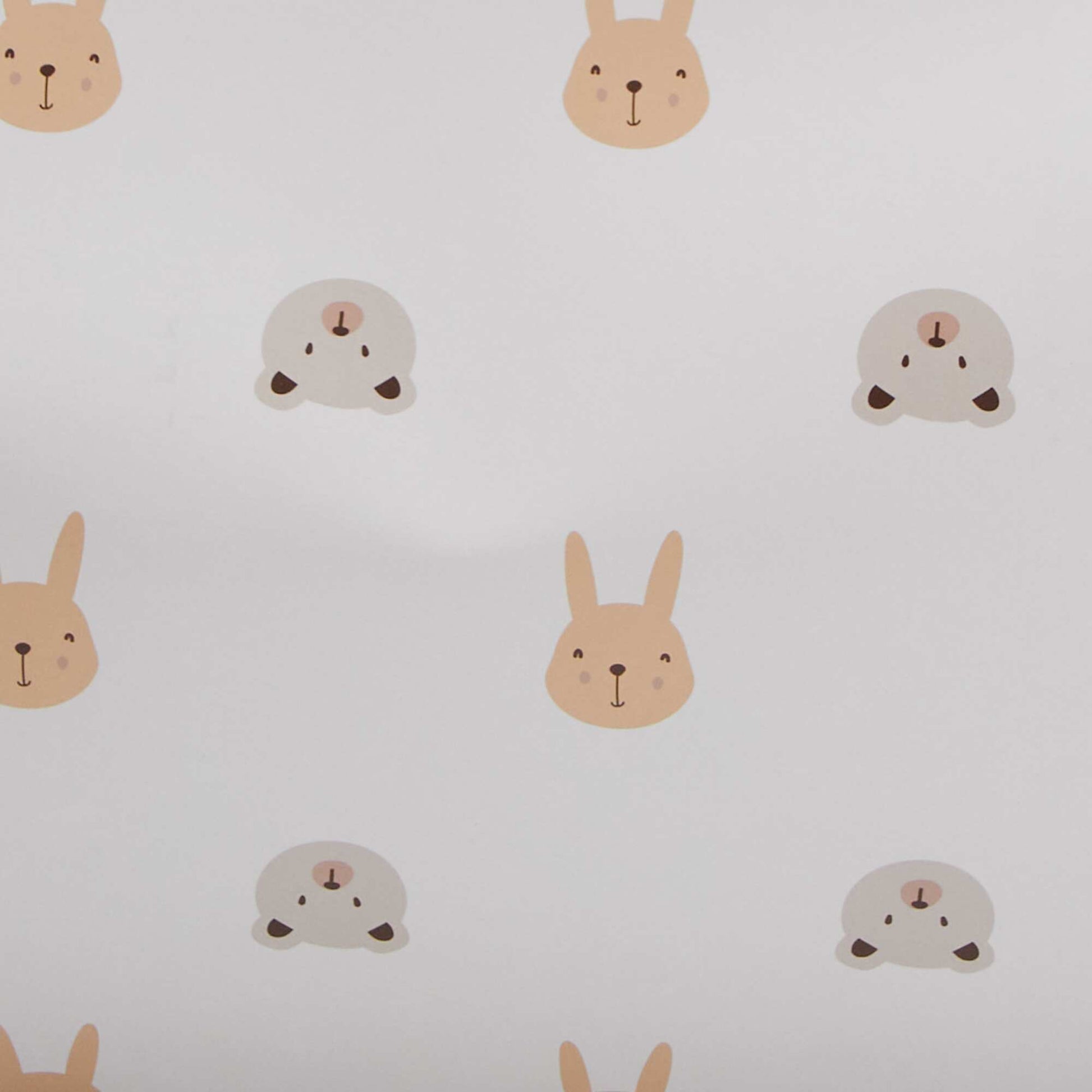 Boite cadeau 'naissance' ANIAML